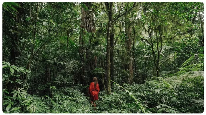 Qué hacer en Bogotá diferente, miradores Bogotá, naturaleza Bogotá